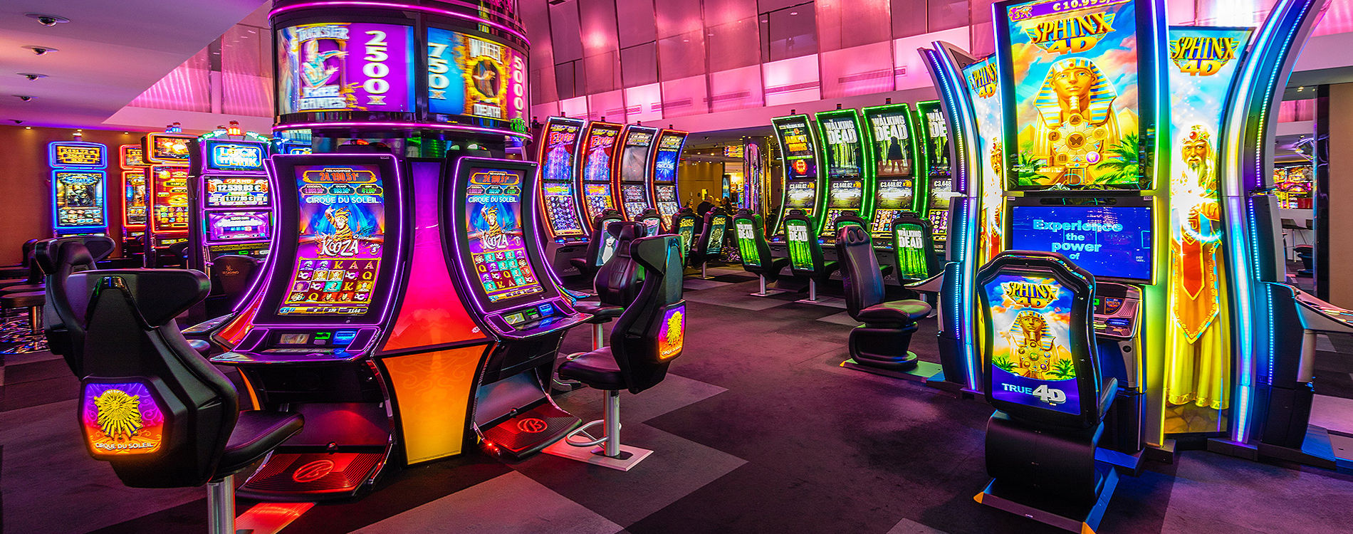 Free no deposit casino – The Safe Slots